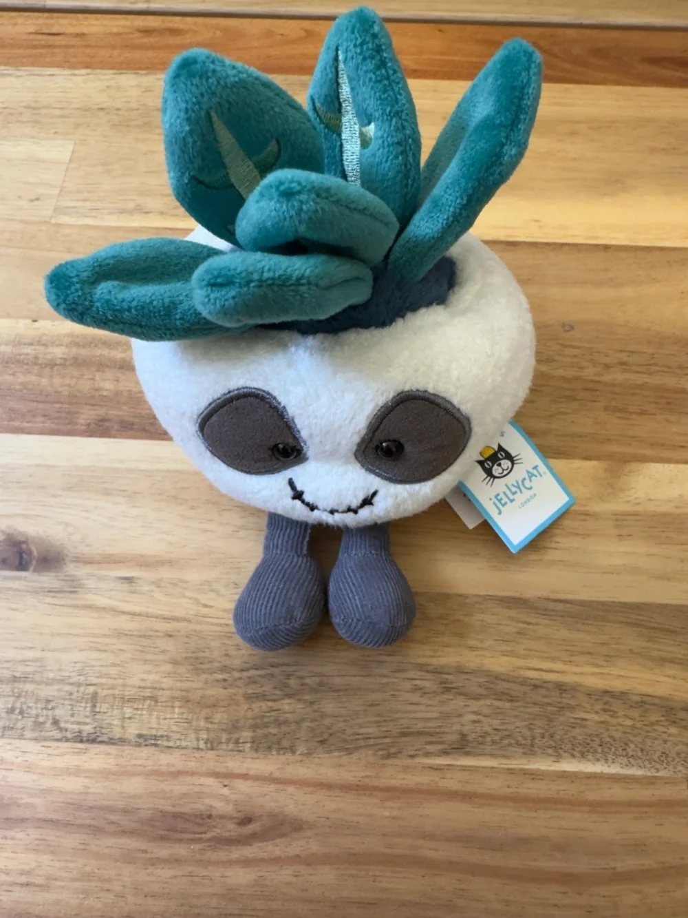 Jellycat nwt succulent
